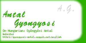 antal gyongyosi business card